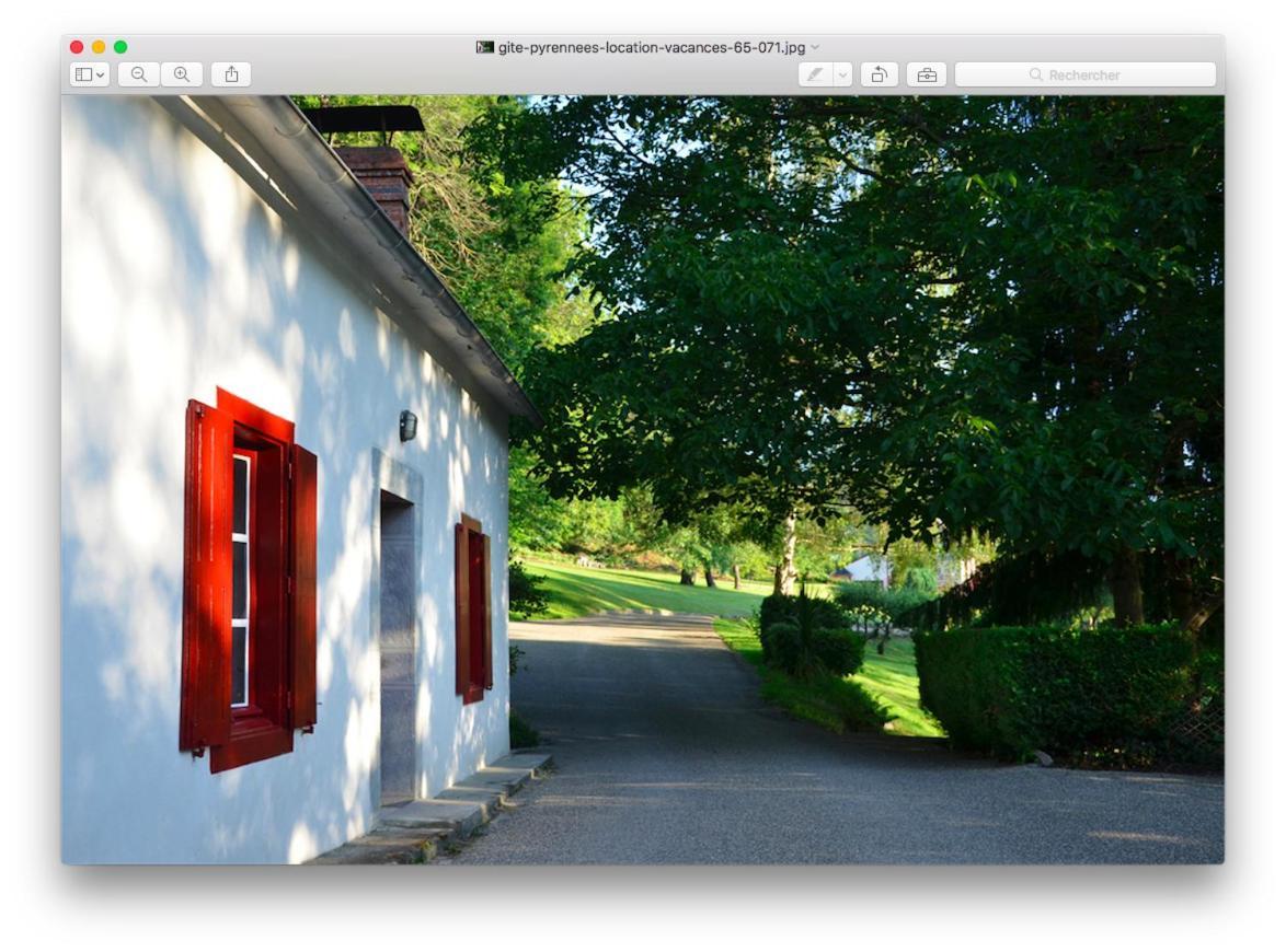 Le Chalet Des Pyrenees St Savin Saint-Savin  Exteriör bild